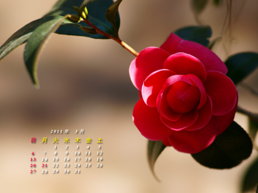 404495 (a): :1024x768